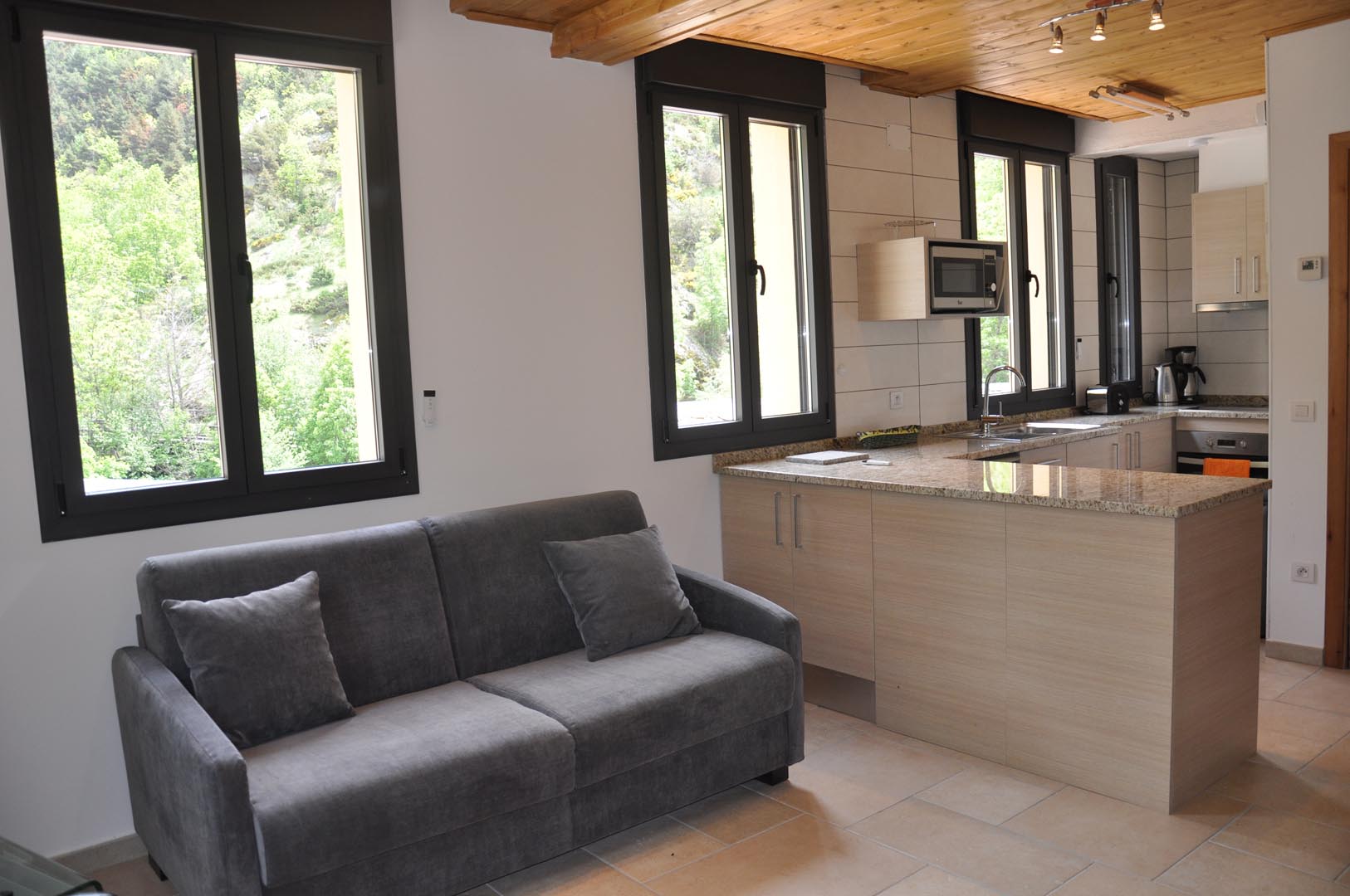 Appart Puigmal LLo Vue salon Puigmal